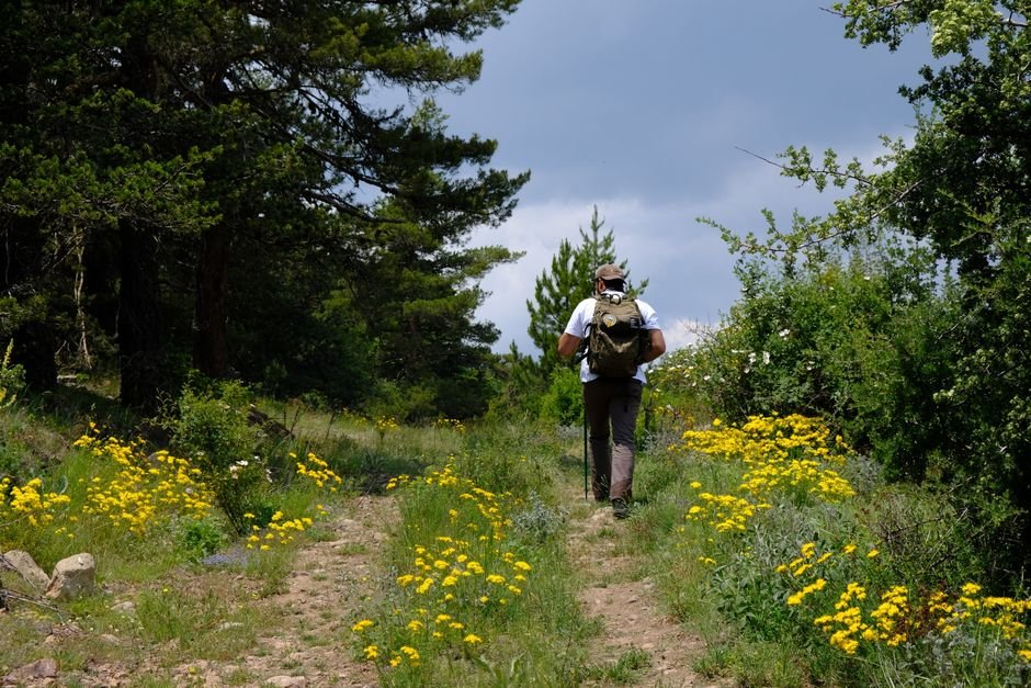 What Are the Benefits of Hiking for Physical and Mental Health?