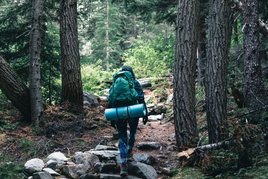 Why Should I Hike? Discover the Health Benefits of Hiking?