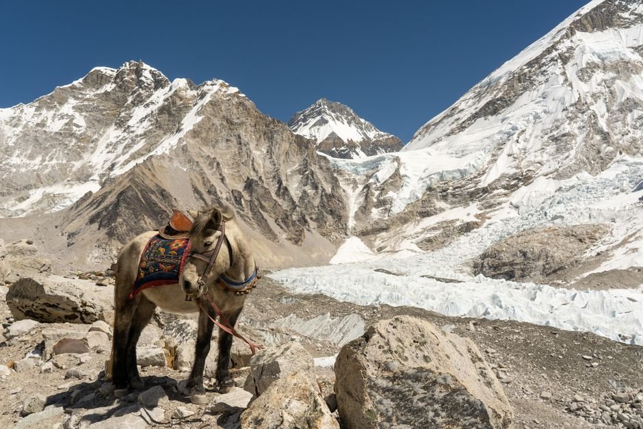 7 World Nomads vs Safetywing Travel Insurance